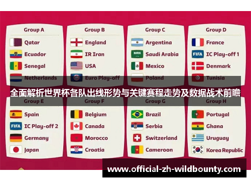 全面解析世界杯各队出线形势与关键赛程走势及数据战术前瞻