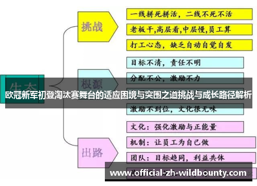 欧冠新军初登淘汰赛舞台的适应困境与突围之道挑战与成长路径解析